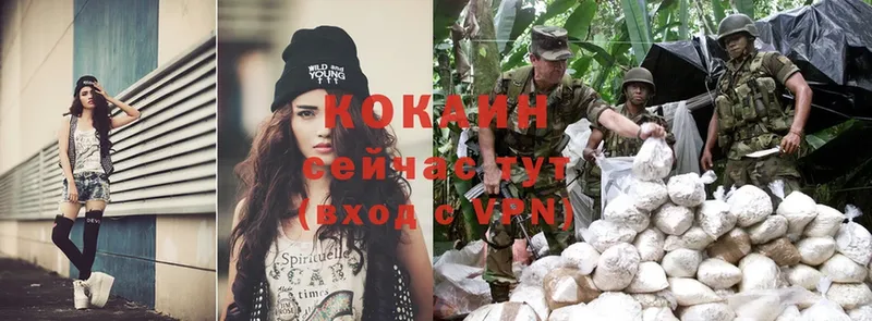 mega вход  Волгореченск  Cocaine Колумбийский  купить  сайты 